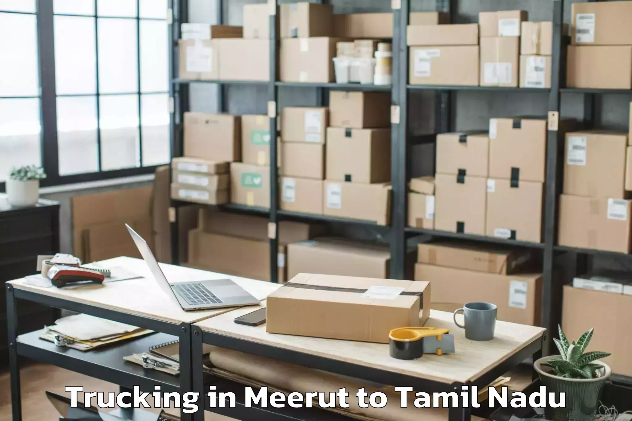 Top Meerut to Sayalkudi Trucking Available